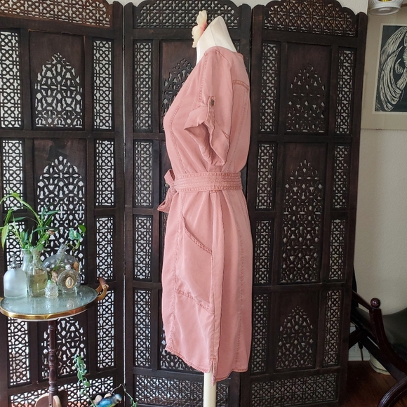 Pilcro and the Letterpress pink Lyocell dress - Picture 3 of 16